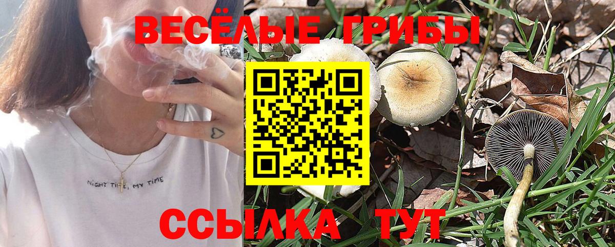 Псилоцибиновые грибы прущие грибы Алушта