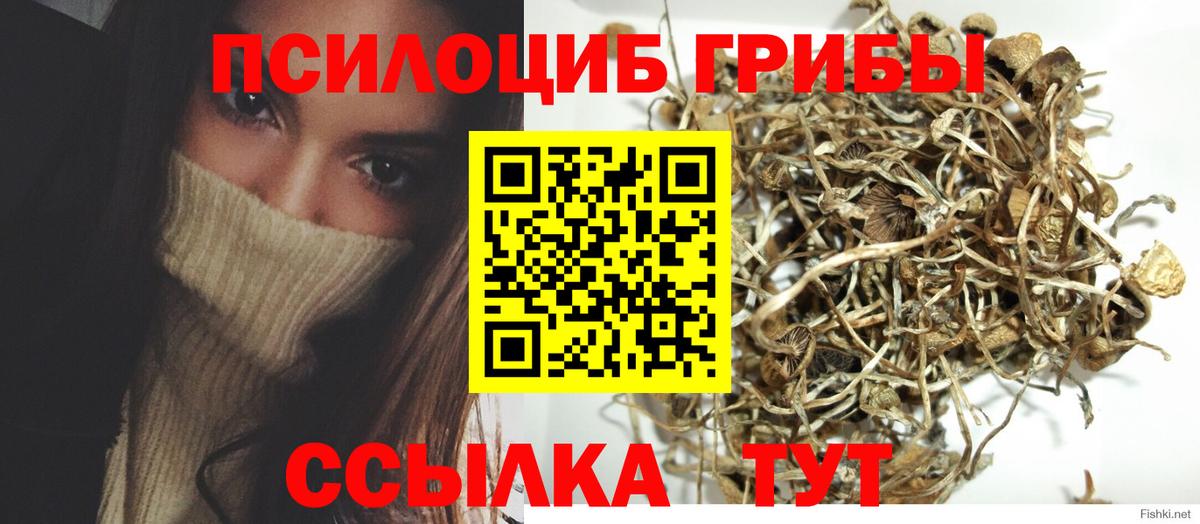 как найти закладки  Галлюциногенные грибы мицелий  Вход с VPN  Алушта 